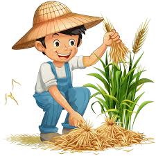 Pertanian (Agronomy)